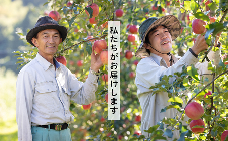 りんご《2026年8月下旬以降順次発送》羽山のりんご 中生おまかせL～2Lサイズ3kg【斎藤りんご園】
