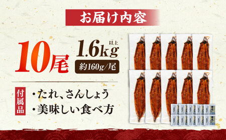 国産うなぎ蒲焼 鰻大10尾[VAD026] 鰻