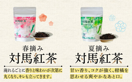 【1週間以内発送】対馬の本格和紅茶セット長崎 対馬 ティー お茶 飲料 飲み物  [WBE013] スピード発送 最速発送 最短発送