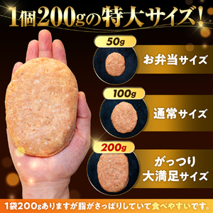 四万十ポーク入り  ハンバーグ 200g x 6個 1.2kg はんばーぐ 