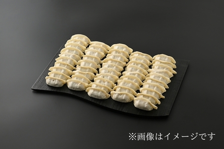 高座・座間みそ餃子4種食べ比べセット 40個入り（10個×4袋）｜ぎょうざ ギョウザ 味噌 おつまみ おかず 惣菜 簡単調理 中華 グルメ お取り寄せ 冷凍 小分け