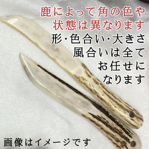 鹿の角 ペーパーナイフ 中 1個 左手用 【竜鹿】／ 鹿角 鹿 しか シカ グッズ 本物 加工 加工品 工芸 工芸品 クラフト ナイフ 左利き 日用品 雑貨 不揃い ふぞろい １個 人気 事務用品 事務 オフィス オフィス用品 文具 文房具 おすすめ