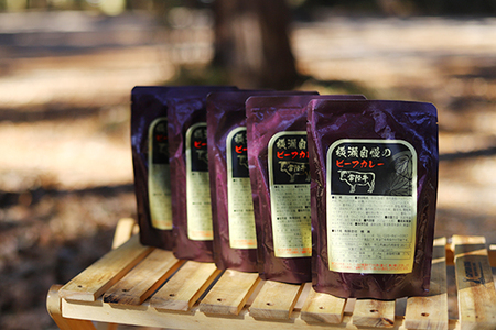 横瀬自慢のビーフカレー　中辛（200g×5袋）【茨城県共通返礼品（常陸牛）】｜やわらか肉　とろみ　レトルト　常陸牛　カレー　常温　温めるだけ　保存食　災害非常食　キャンプ　お中元　お歳暮　ギフト ※離島への配送不可 ※2026年1月中旬以降に順次発送予定