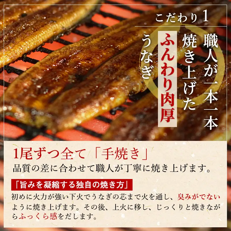 定期便 6ヶ月 訳あり 不揃い うなぎ ITI3度受賞 2尾 国産 鰻 蒲焼 6回 井口