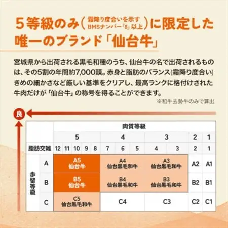 仙台牛肩ロース　すき焼き用　500g(3人前)_肉 すき焼き 牛肉 すきやき スキヤキ  肉 仙台牛 牛肉 うし ビーフ_【配送不可地域：離島】【1491961】