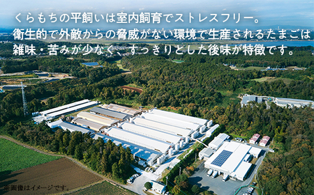 456 たまご 48個 8パック 定期便 6カ月 計288個 小分け 新鮮 赤 玉子 卵 タマゴ くらもちの農場 平飼い