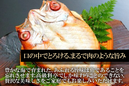 のどぐろ一夜干し 2尾 【5回定期便】【のどぐろ 干物 1尾あたり101～120g 2尾 のどぐろ干物 10枚 ノドグロ あかむつ アカムツ 新鮮 一夜干し 個包装 小分け 真空パック 冷凍 贈答 父の日 母の日】