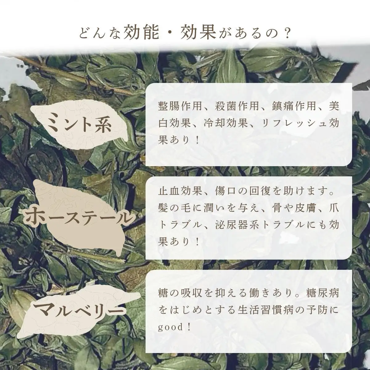 【定期便】森のハーブティーセット(3点合計39g)  ≪1ヶ月に1回 計3回のお届け≫【無農薬・化学肥料不使用】【51102】
