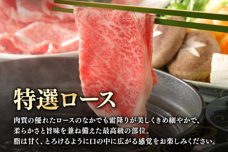 飛騨牛 A5～4等級 しゃぶしゃぶ用 ( 特選ロース ) 1.0kg (A01-015)