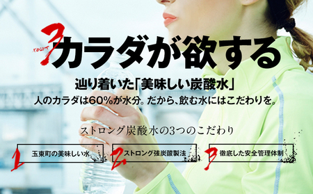 【2ヶ月定期便】強炭酸水4箱（計2回お届け 合計4ケース: 500ml×96本）《申込み翌月から発送》 定期便 あり ★強炭酸水★クリアで爽快な喉越し!くまもと風土の強炭酸水★ストロング炭酸水 定期便あり ハイボールなどお酒の割材にも ソーダ 送料無料 定期便あり熊本炭酸水