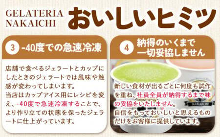 ジェラート 6種 6個 バラエティーセット GELATERIA NAKAICHI《30日以内に出荷予定(土日祝除く)》岩手県 九戸村 ジェラート アイス ミルク チョコ 抹茶 リンゴ ラムレーズン ジェラート ジェラート ジェラート 