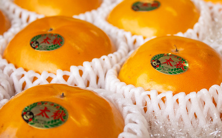 上村農園の 太秋柿 3.5kg (約10～12玉) 【2026年10月下旬～11月下旬まで順次発送予定】