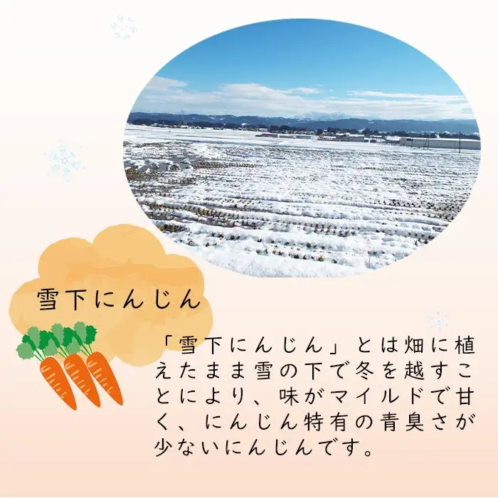 津南高原の雪下人参ジュース　200ml×20本｜新潟　津南　新潟県　雪下　人参　ジュース　野菜ジュース　200ml　20本