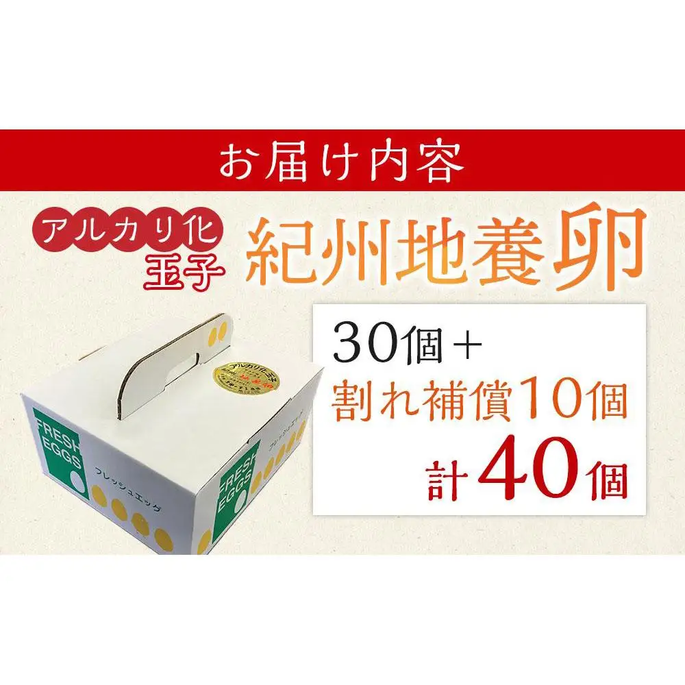 アルカリ化 玉子 紀州地養卵 合計 40個入 (30個＋割れ補償分10個）卵 たまご 玉子 タマゴ 鶏卵 まとめ買い オムレツ 卵かけご飯 朝食 業務用