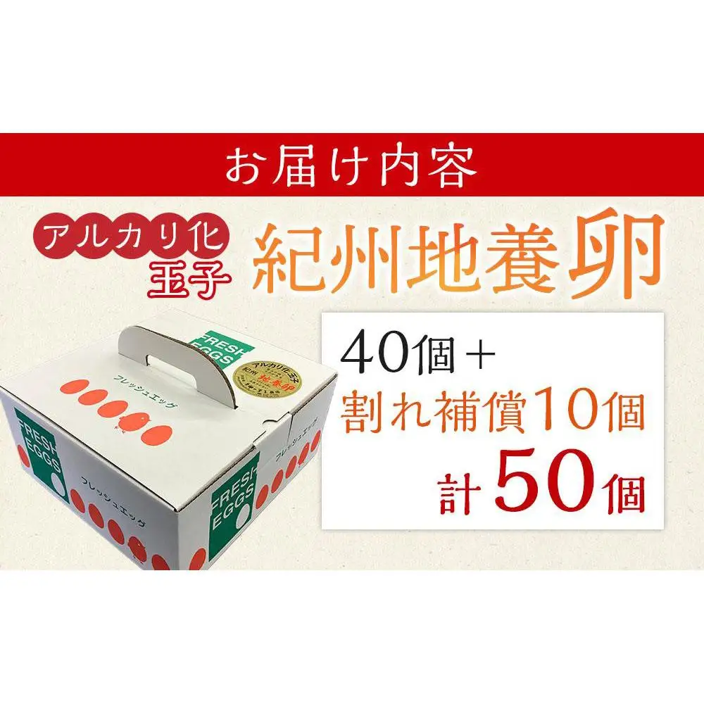 アルカリ化 玉子 紀州地養卵 合計 50個入 (40個＋割れ補償分10個）卵 たまご 玉子 タマゴ 鶏卵 まとめ買い オムレツ 卵かけご飯 朝食 業務用