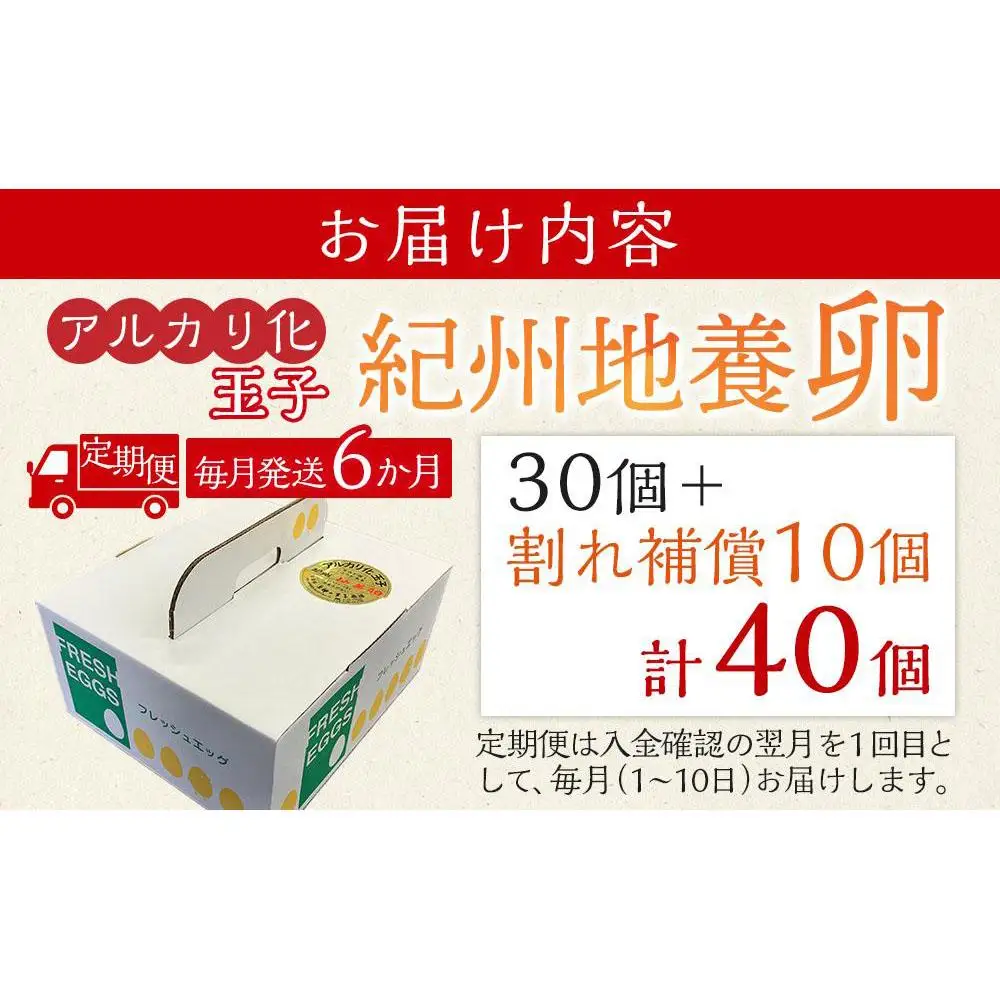 【定期便 毎月発送 全6回】アルカリ化 玉子 紀州地養卵 合計 40個入 (30個＋割れ補償分10個）× 6回　卵 たまご 玉子 タマゴ 鶏卵 まとめ買い オムレツ 卵かけご飯 朝食 業務用