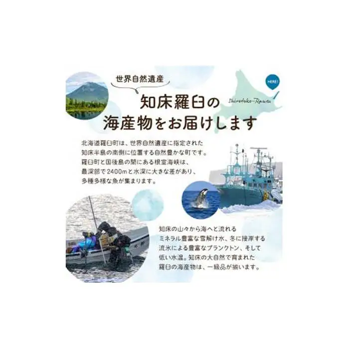 SAKURAサーモンスティックとば 100g×4 ｜サーモン　羅臼
