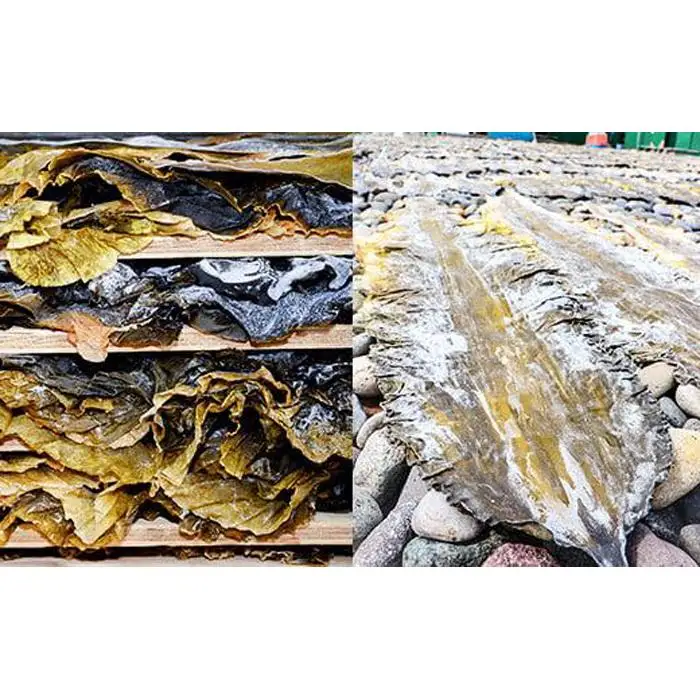 天然１等 天神さん家の花折羅臼昆布 2枚入り  ｜ 昆布 北海道 