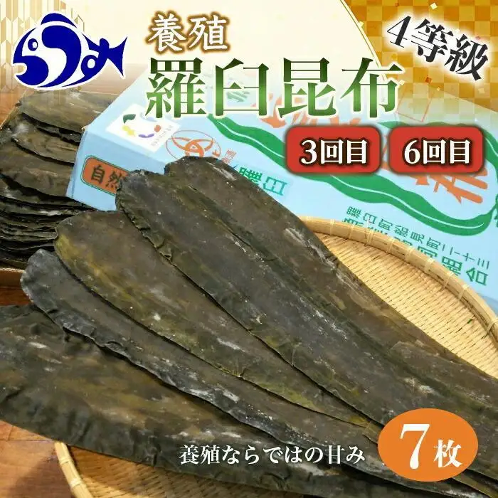 【年6回】羅臼昆布の出汁比べ定期便（等級比較）羅臼昆布 だし 和食 国産 知床 北海道