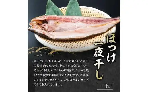 2回定期便！羅臼の魚 おすすめセット(1)　8点盛り 魚 国産 知床 北海道