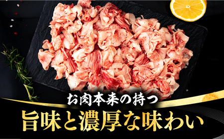 【全2回定期便】 壱岐牛 こま切れ （バラ） 1kg《壱岐市》【株式会社イチヤマ】 肉 牛肉 細切れ 小間切れ BBQ 焼肉 [JFE121]