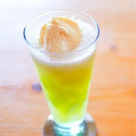 ベルファームの冷凍メロンジュース 茨城県産メロン100% 100g×15袋 【離島・沖縄配送不可】_飲料・ドリンク  果汁飲料 _【配送不可地域：離島・沖縄県】【1443649】