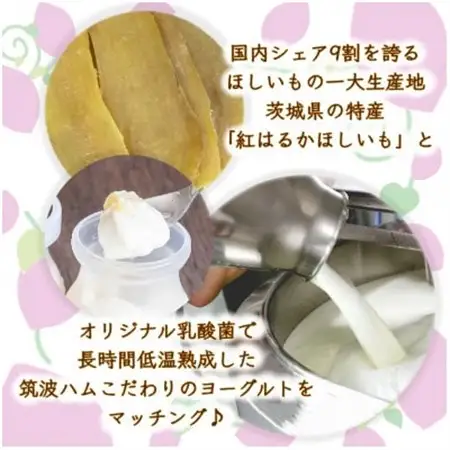 まるでほしいも計12個 (ほしいもクン特製化粧箱入り3個×4箱)_卵・乳製品 ヨーグルト    果物・フルーツ 干し芋 ドライフルーツ ほしいも ホシイモ_【配送不可地域：離島・沖縄県】【1446282】