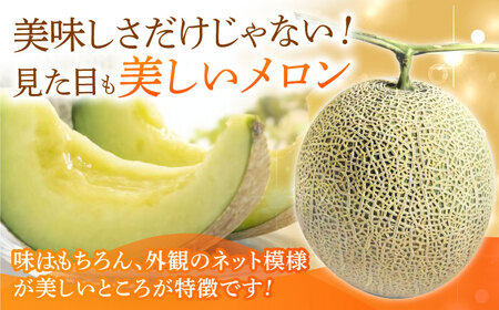 【数量限定】【先行予約】アールスメロン 約4kg～5kg（4L～5L）2玉入【道の駅 水辺プラザかもと】[ZEG001]
