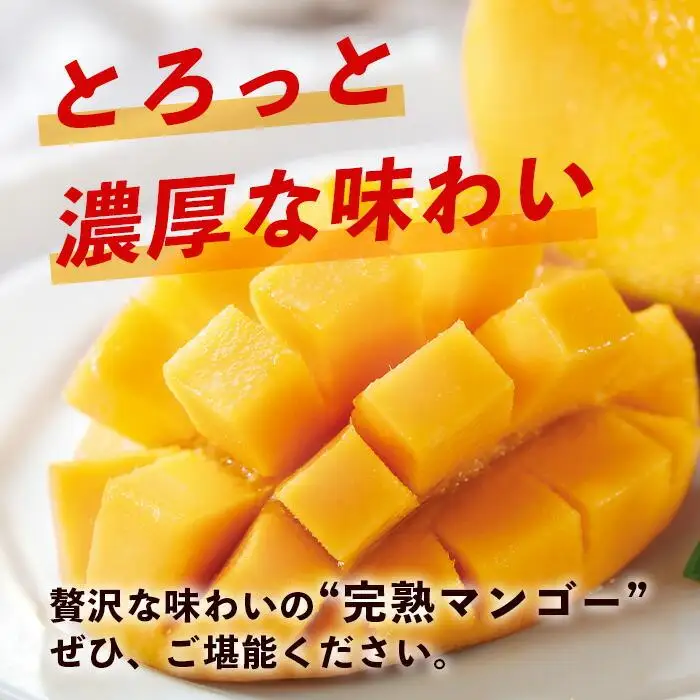【訳あり】石垣島産 マンゴー (アーウィン種)  9～12玉(箱含め約5kg) 