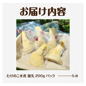 薪で炊いた柔らか仕立てのたけのこ水煮 （穂先5袋セット）