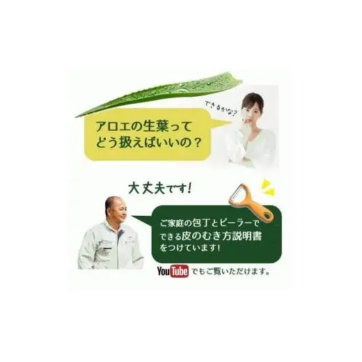 アロエベラ 食用 大きな生葉（2枚～3枚） 沖縄・宮古島産｜有機JAS