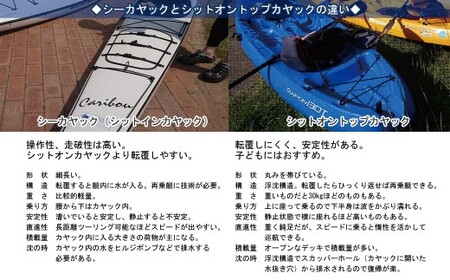 ファミリー向け　新居大島シットオントップカヤック体験　1/2DAY（大人2名）