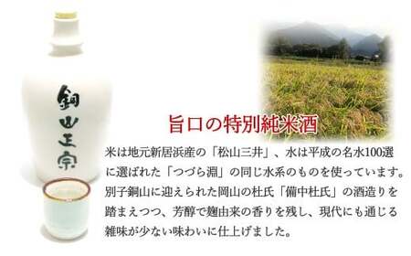 日本酒 純米酒 別子銅山の酒 「銅山正宗」 720ml 愛媛 近藤酒造