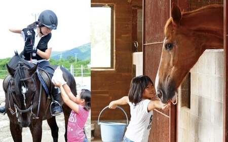 初心者歓迎　マンツーマン乗馬教室30分×4回　エヒメ乗馬クラブ（小学生以上1名）