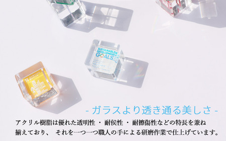 SDGs アクリルキューブセット50 キューブ（50mm） ×18個 専用スライド型ケース 専用台