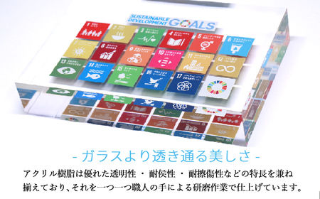 SDGs インテリア アクリル ブロック 盾 （厚さ40×幅210×高さ142mm） 高級 専用台