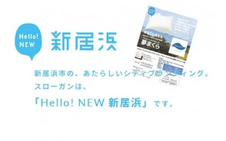 高性能ウォッシャブル「夢まくら」ロングタイプ抱き枕　清潔快適♪（P-4390）アレルギー対策・ダニ防止機能付４３ｘ９０cm