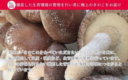 ☆採れたて新鮮定期便（１kg×５ヵ月）☆ 厳選！！新居浜産菌床生しいたけ １kgを毎月お届け！！（合計５回）