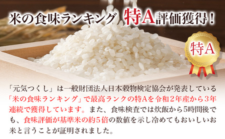 【令和7年度産】元気つくし 6kg 1袋3kg入り わだち農場《30日以内に出荷予定(土日祝除く)》福岡県 鞍手郡 鞍手町 米 コメ 元気つくし 袋 ちらし寿司 こめ