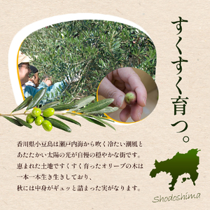 【 小豆島 】100％ 小豆島産 エキストラバージン オリーブオイル 45g5本セット 油 オリーブ油 食用油 調味料 オリーブ オイル ヘルシー 健康 手摘み 手作り 香川 香川県 土庄 土庄町