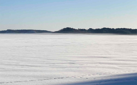 先行予約 2027年2月発送  北海道 厚岸産 丸干しコマイ 190g×4パック ソウルフード 魚貝類 干物 焼魚 おつまみ 冷凍 厚岸湖 天日干し 焼くだけ おかず 