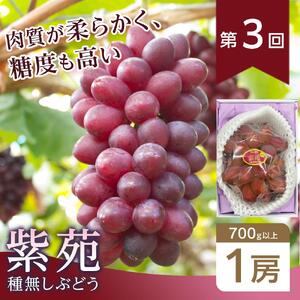 フルーツ 2026年【全4回コース】晴れの国岡山 フルーツ定期便