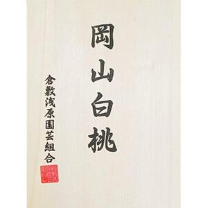 2026年  岡山県産　白桃 5玉 (1.5kg以上) 等級：ロイヤル 木箱入り