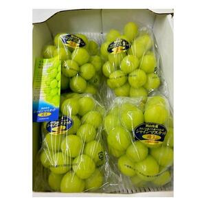 シャインマスカット『晴王』3～5房 (約2kg）｜  シャインマスカット 2026年