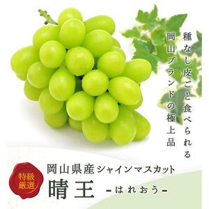 ニュー ピオーネ 2房(1房480g以上)・ シャインマスカット 晴王2房(1房480g以上)　化粧箱入り｜ ぶどう ぶどう
