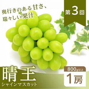 【全3回コース】2026年  岡山県産　旬のフルーツ定期便