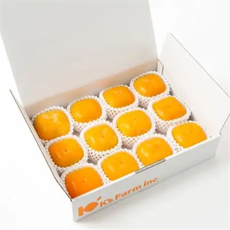 ケーズファーム　平たねなし柿　12～13個入　2L～3Lサイズ_果物・フルーツ 柿（カキ）  かき_【1147921】