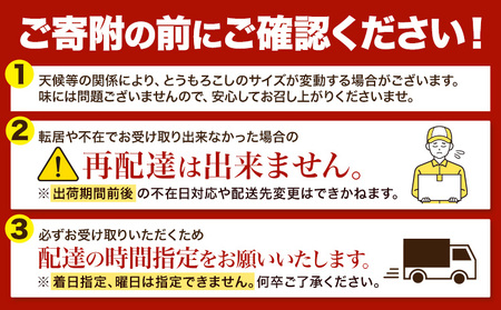「なよろホワイト」 8.5kg 以上20～22本 とうもろこし 