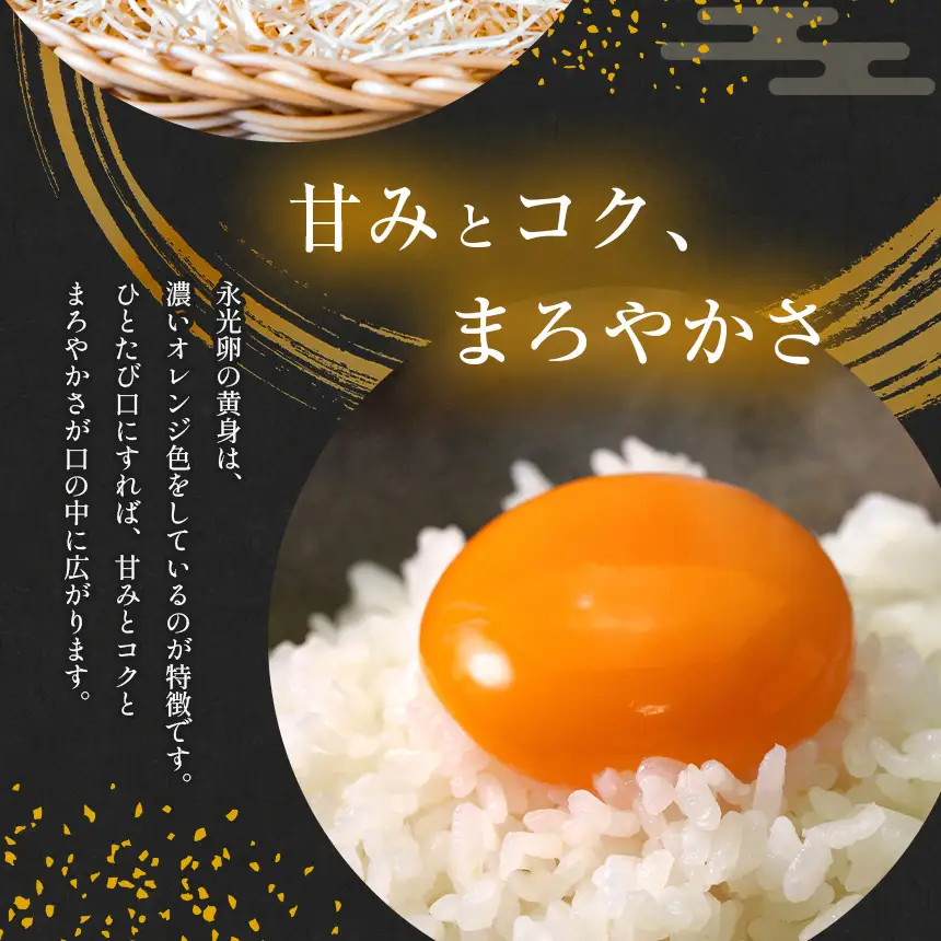 【 定期便 12回 】 メディア紹介多数！ おいしいたまご 永光卵 30個 | えいこうらん 光永ファーム 卵 たまご 定期便 定期 12回 君津市産 千葉 君津 きみつ