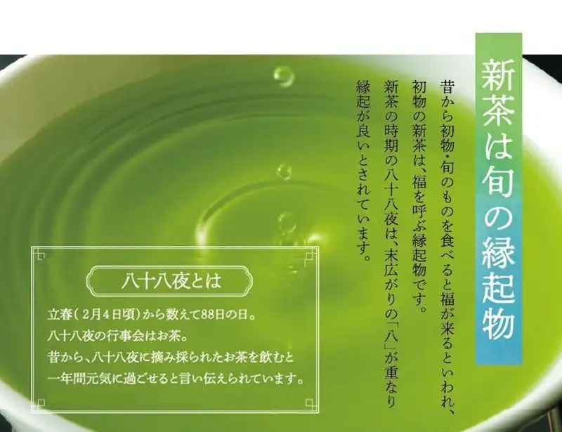 新茶 八女星野茶 100g 3本詰め＜先行予約＞【A2-132】